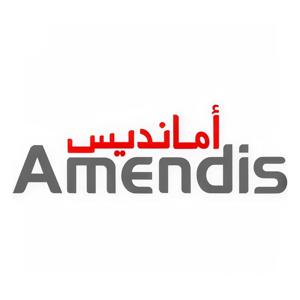 AMENDIS logo