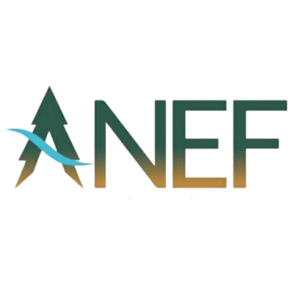 Logo DIRECTION REGIONALE DE L'AGENCE NATIONALE DES EAUX ET FORETS DE L'ORIENTAL