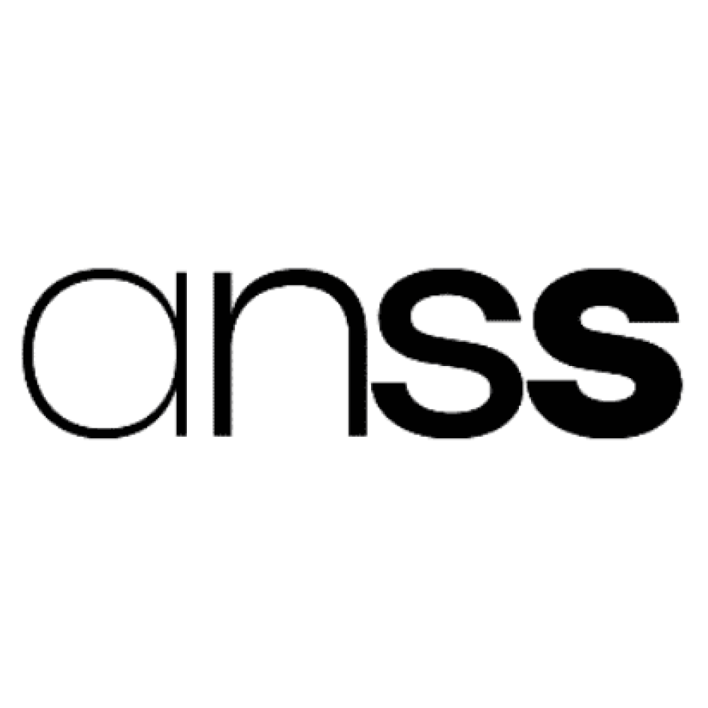 Logo AGENCE NATIONALE DU SOUTIEN SOCIAL (ANSS)