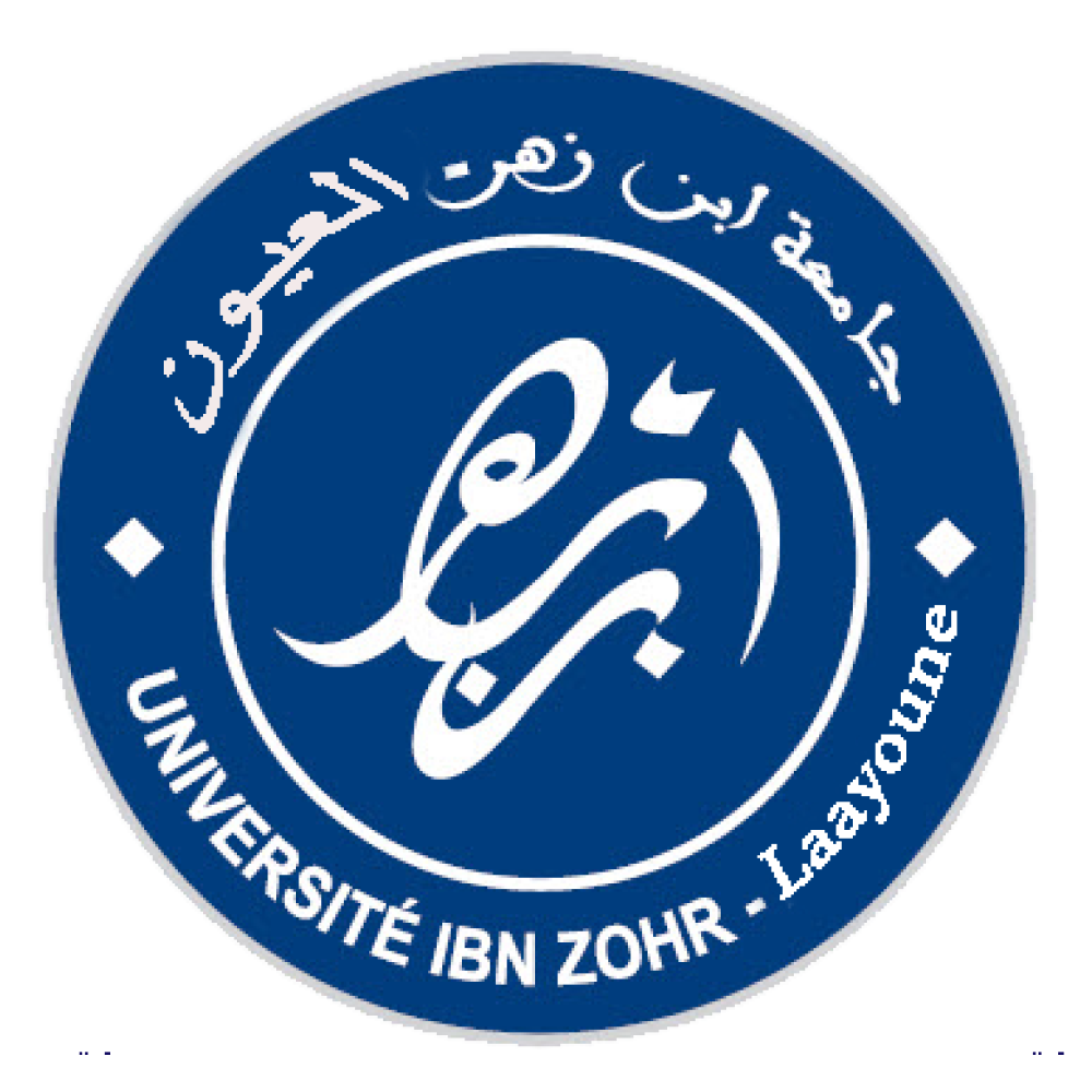 Logo ECOLE SUPERIEURE DE TECHNOLOGIE LAAYOUNE